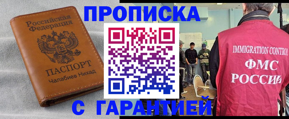 прописка в Купино